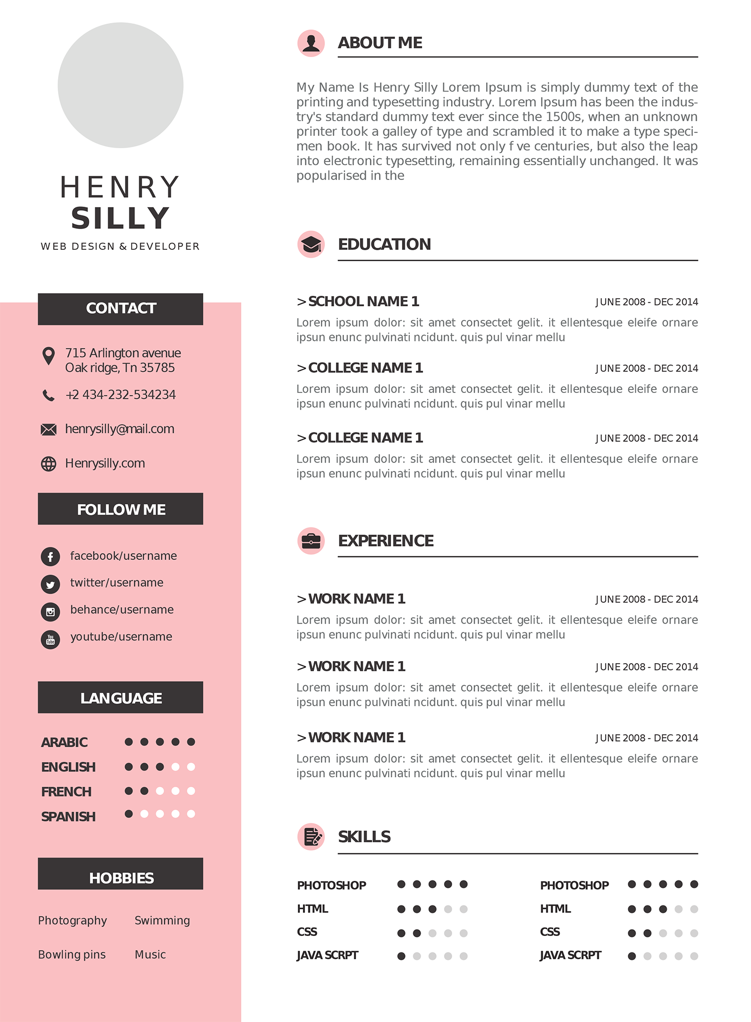 Hazır CV şablonu örneği 5